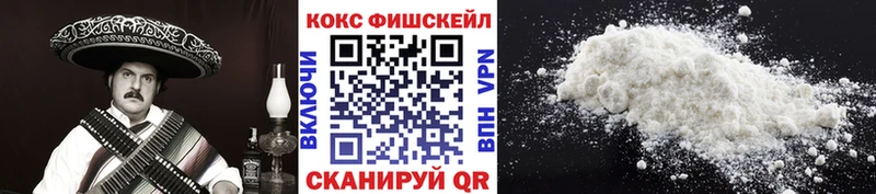 Купить Карталы COCAIN FishScale