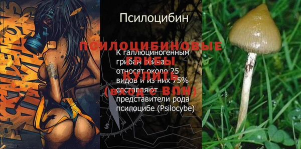 мдпв Козельск