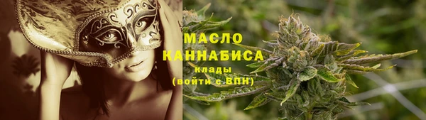 мдпв Козельск
