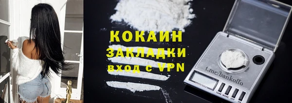 мдпв Козельск
