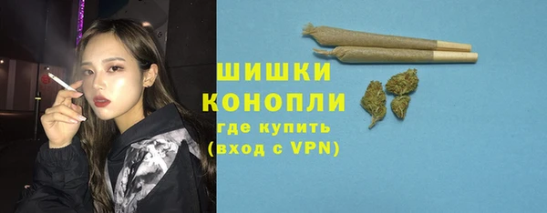 мдпв Козельск