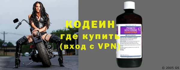 мдпв Козельск